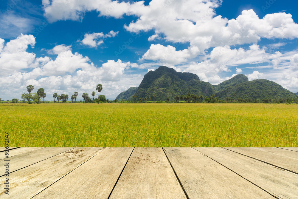 wood floor on blue sky and field rice