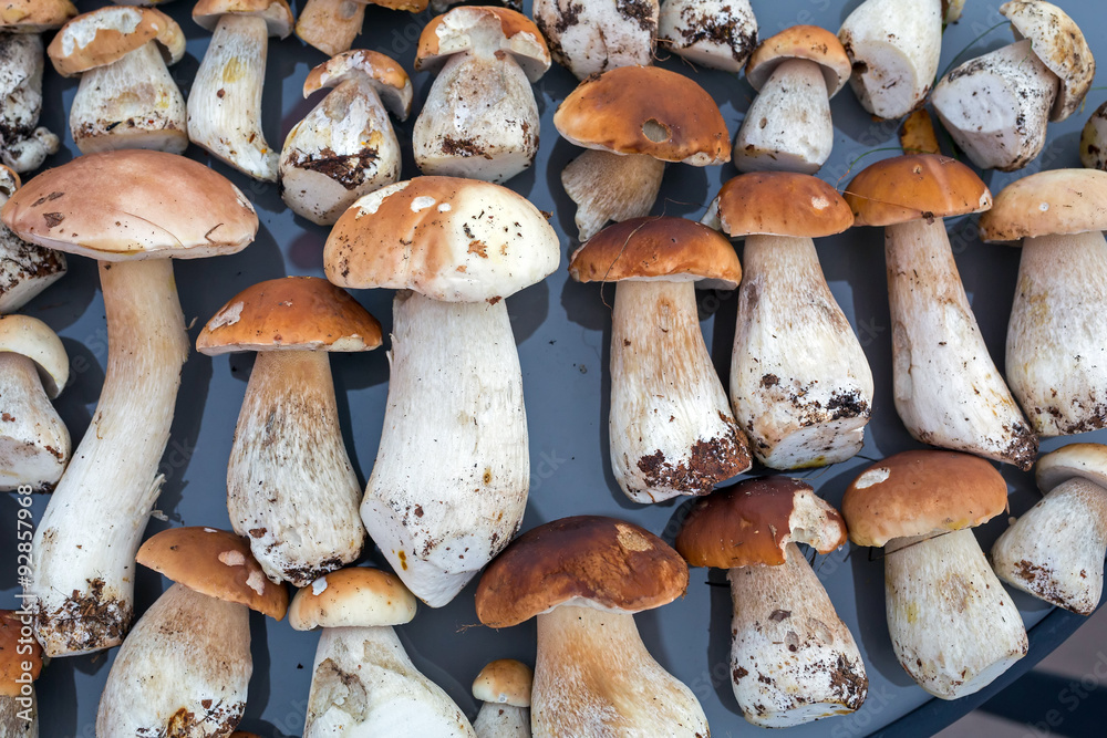 Porcini mushrooms on the table (Boletus edulis or cep)