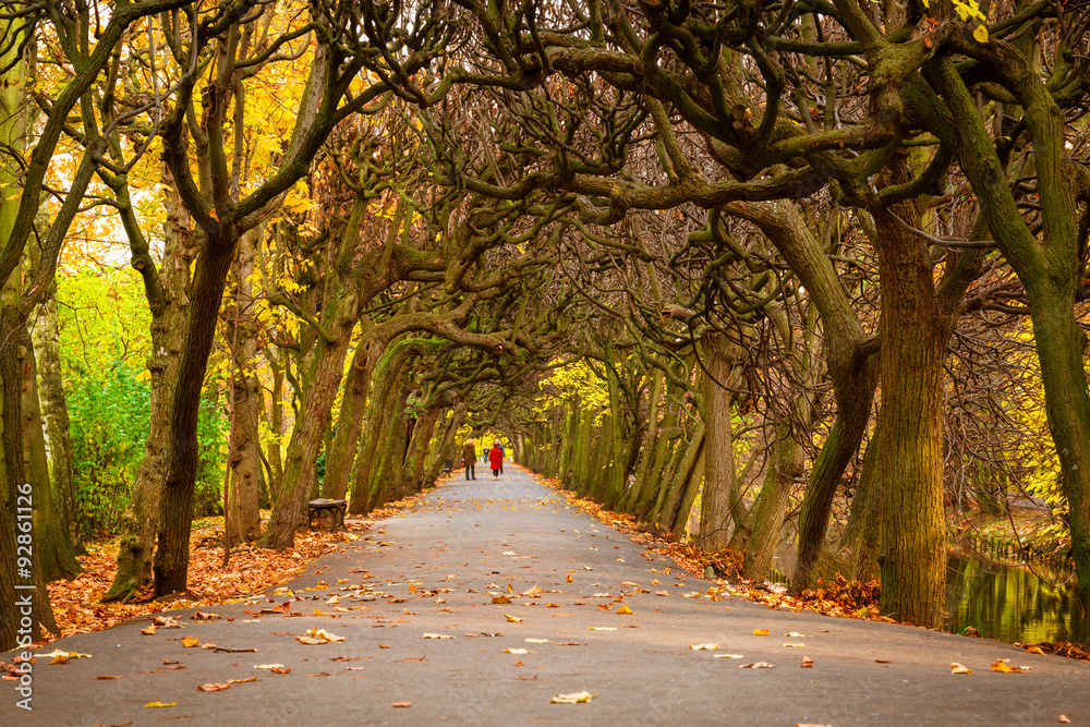 Autumn in the park in Gdansk, Poland