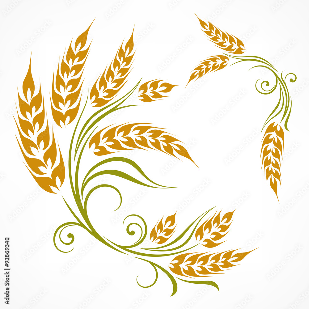 Stylized ears of wheat pattern on white, illustration