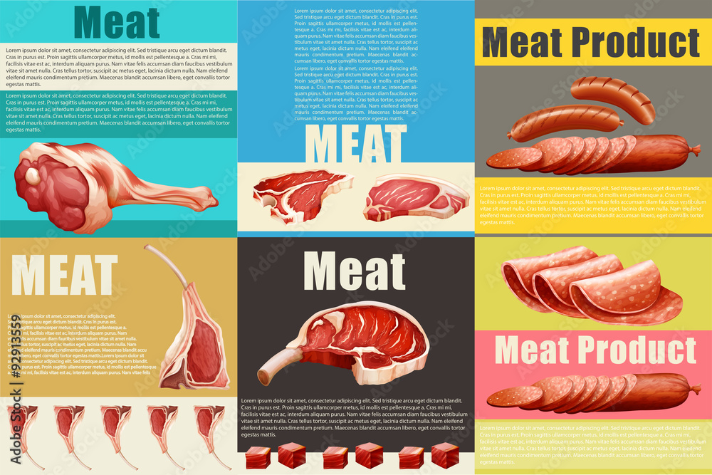 不同肉类的信息图
