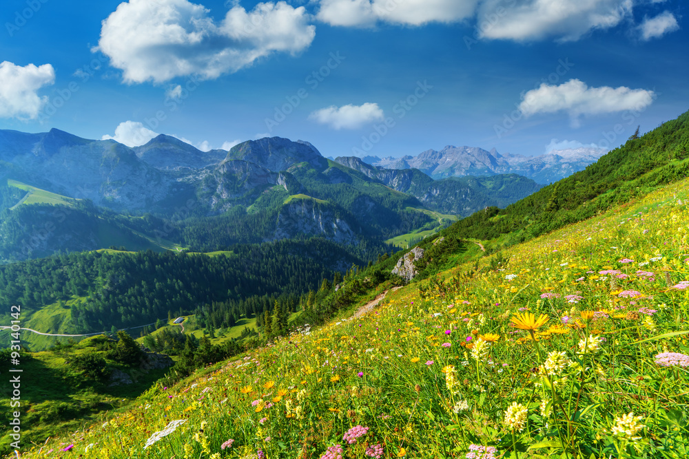 阿尔卑斯山