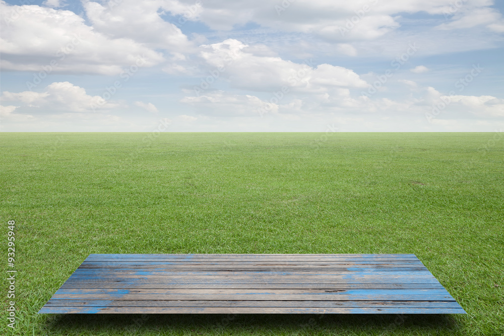 Fresh spring green grass  sky cloud,and wood floor background.