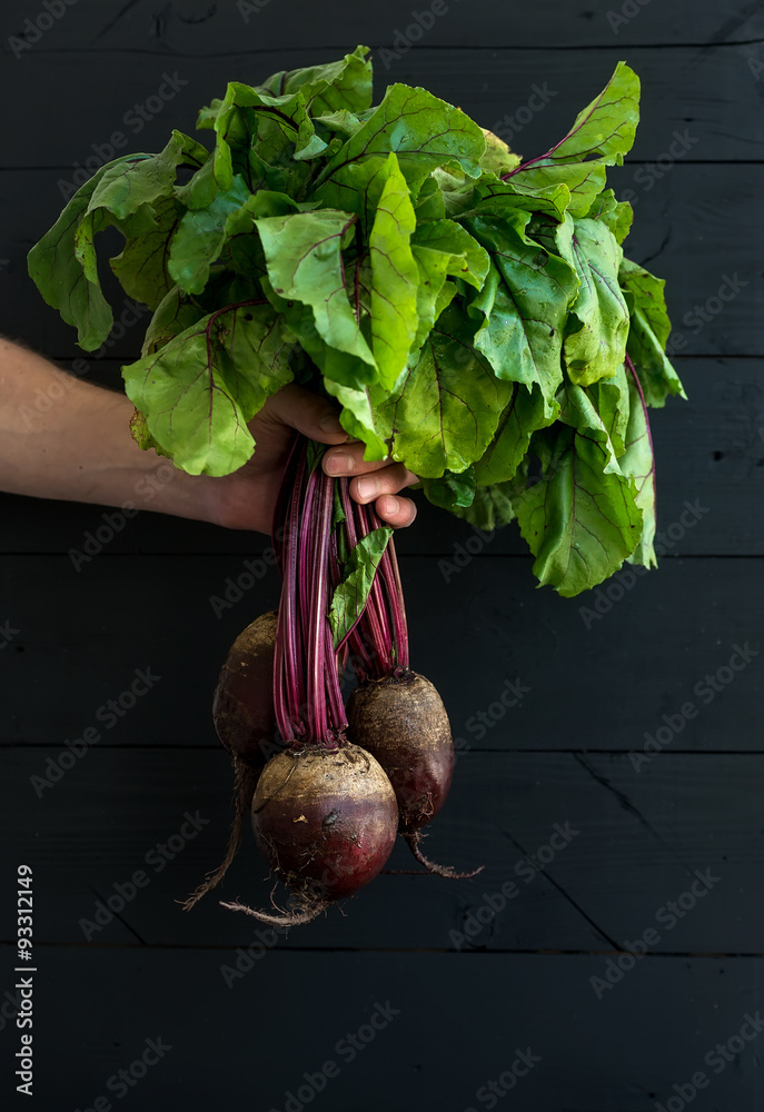 Bunch of fresh garden beetroot kept in mans hand, black wooden