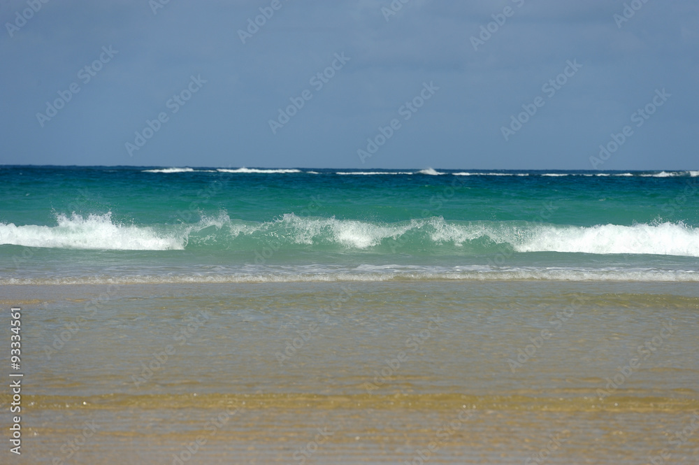 Beach and ocean