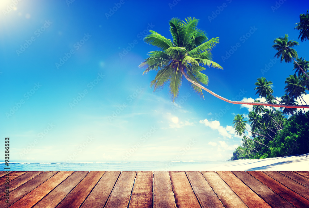 Summer Beach Tropical Paradise Seascape Concept