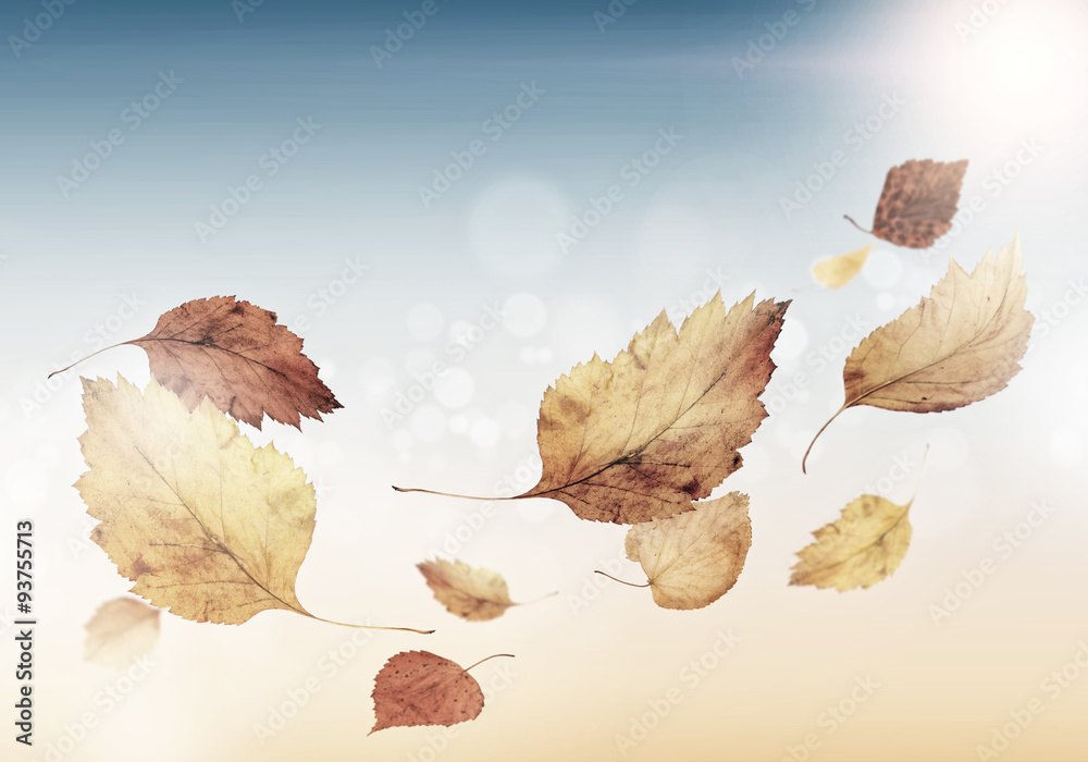 Autumn background