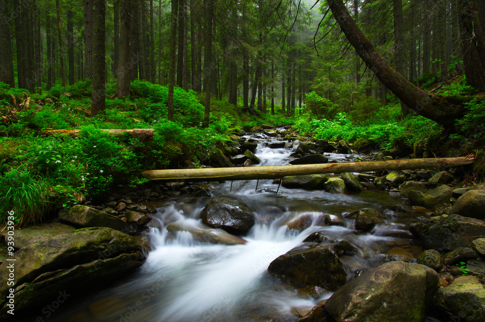 Mountain river