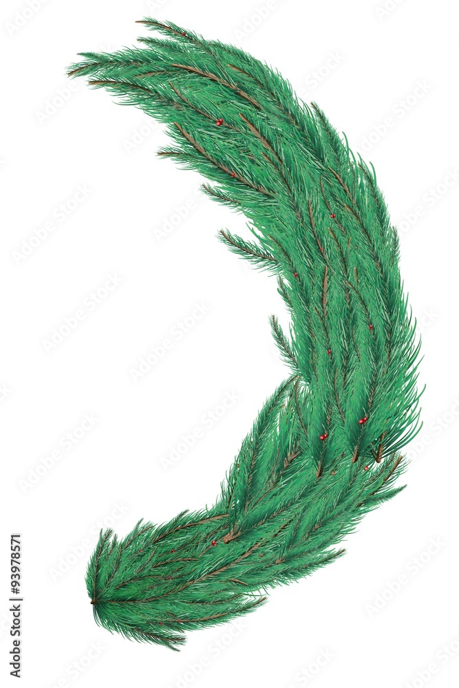 Green fir tree branch