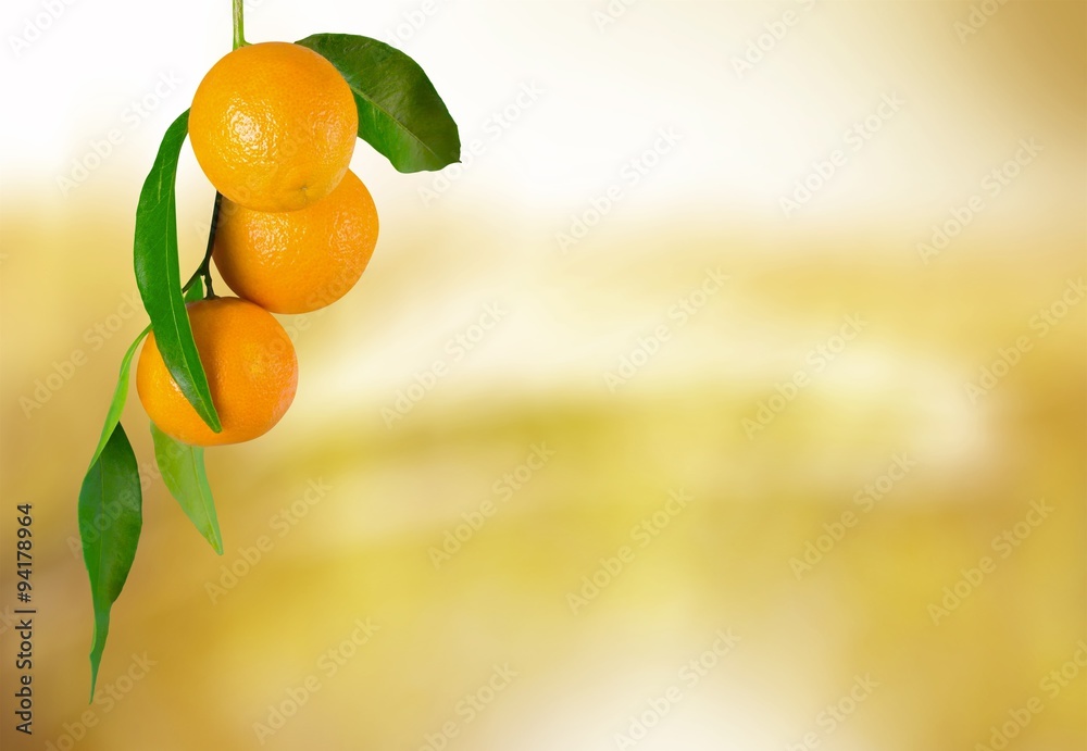 Orange Tree.