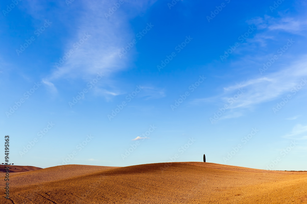 意大利托斯卡纳风景，一棵孤独的柏树。