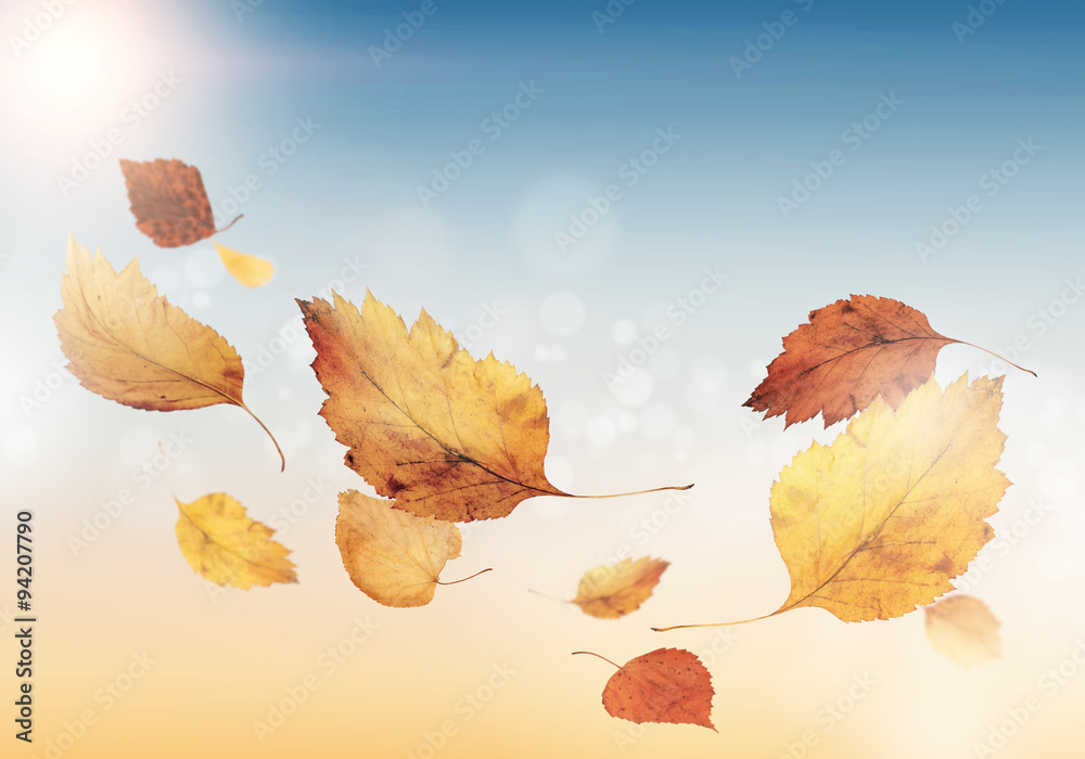 Autumn background