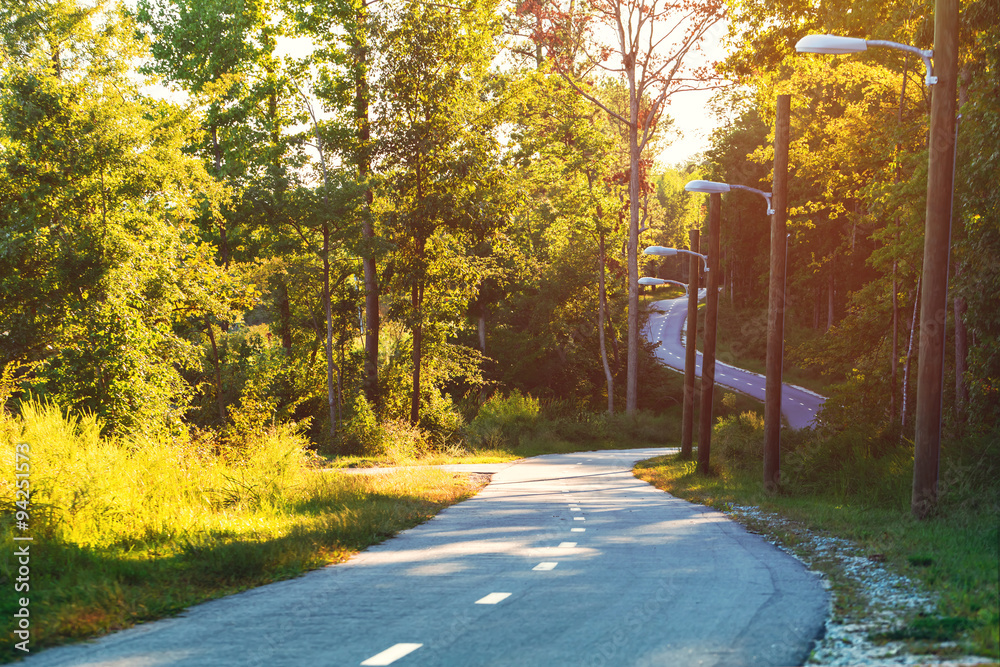 Winding forest path at sunset