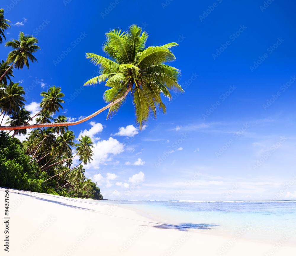 Summer Beach Tropical Paradise Seascape Concept