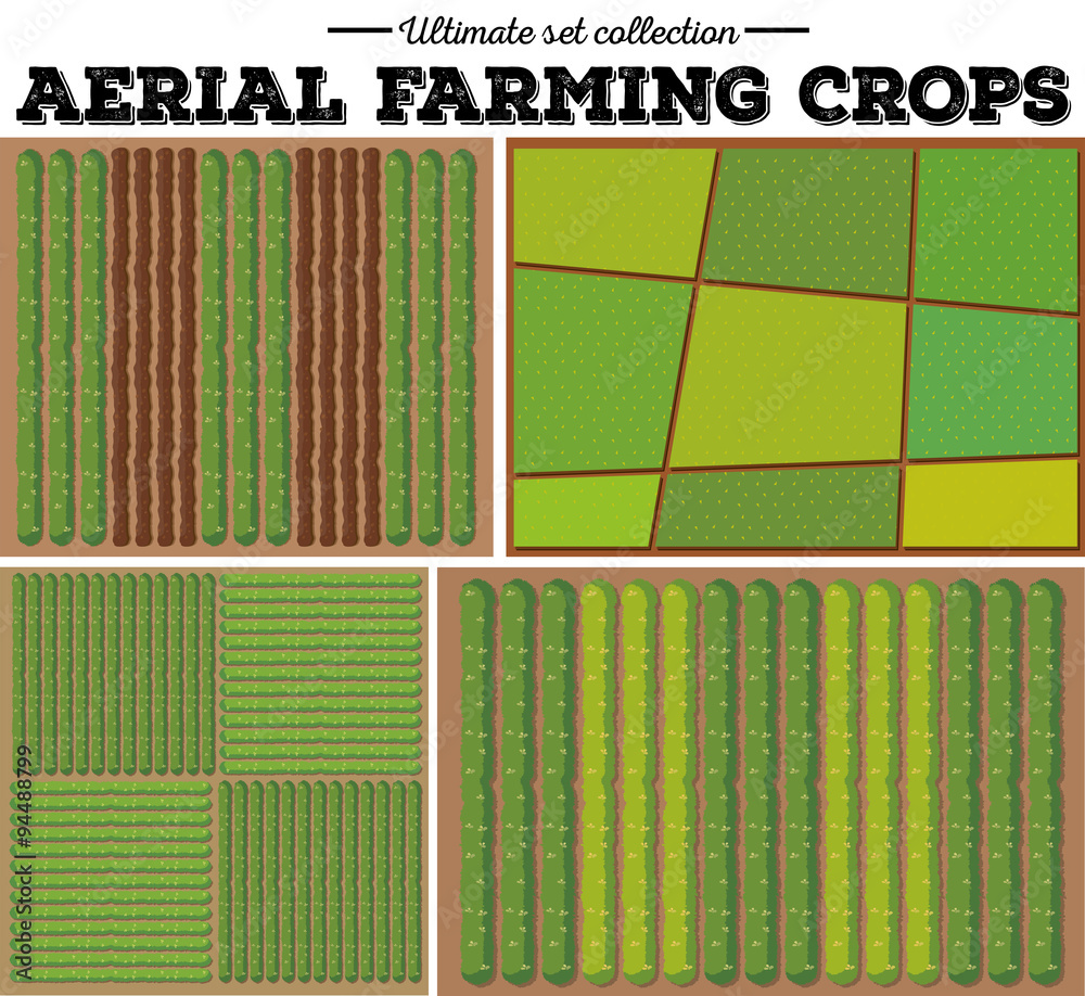 Aerial farming crops pattern