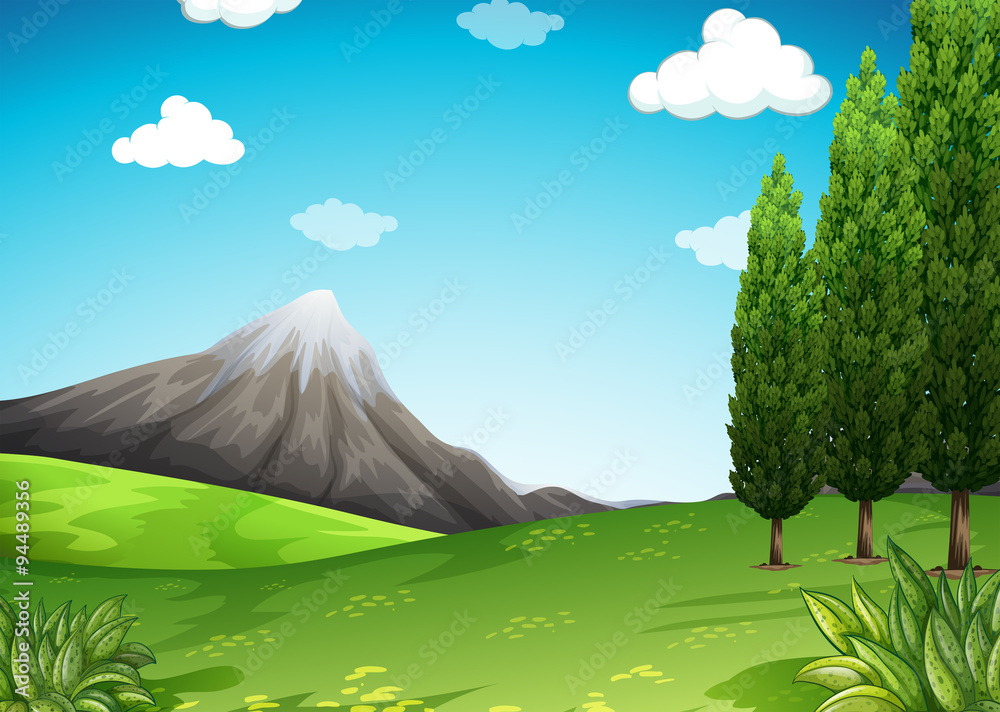 Nature scene with mountain and field