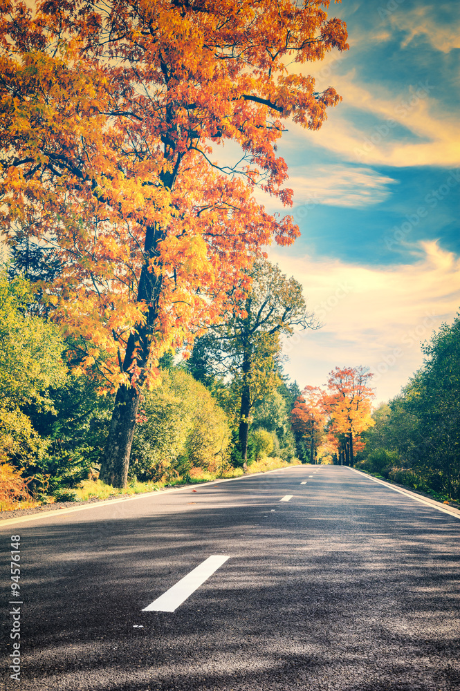 色彩斑斓的秋天风景，空旷的道路