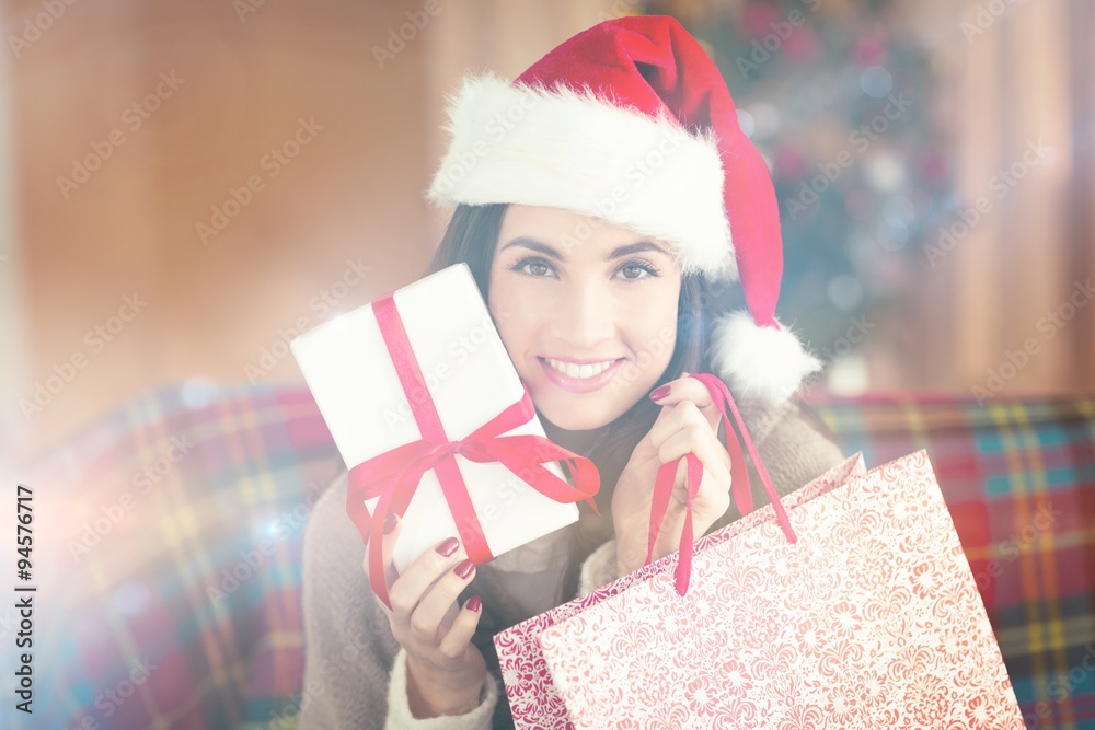 Smiling brunette holding gift and shopping bag  at christmas