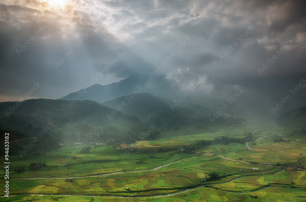 Terraced rice field