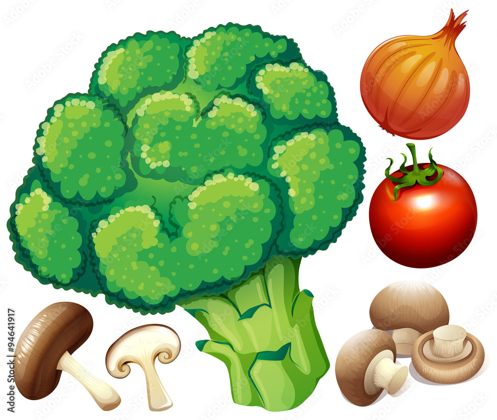 Many fresh vegetables on white