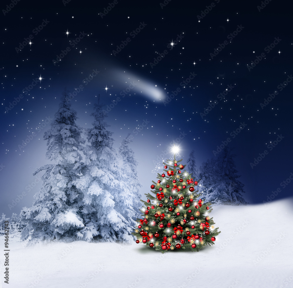 Winterwald的Beleuchter Christbaum