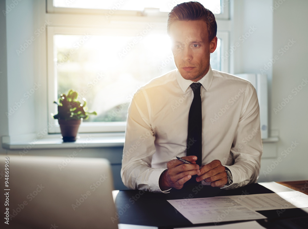 Professional business man at office