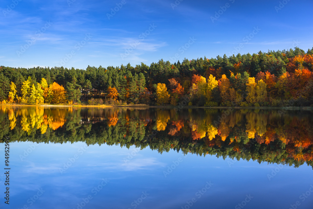 Autumn at the lake in Poland