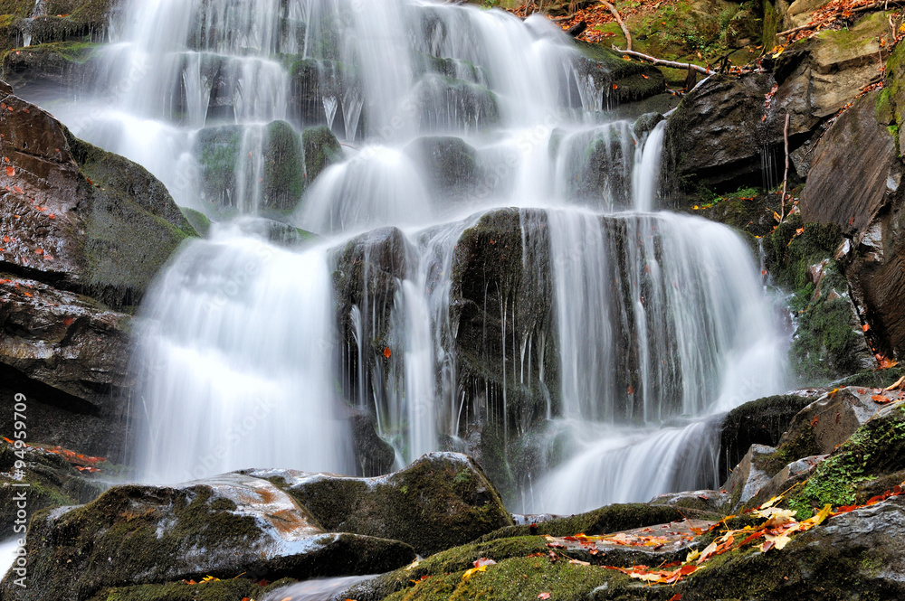 Mountain river in the autumn forest