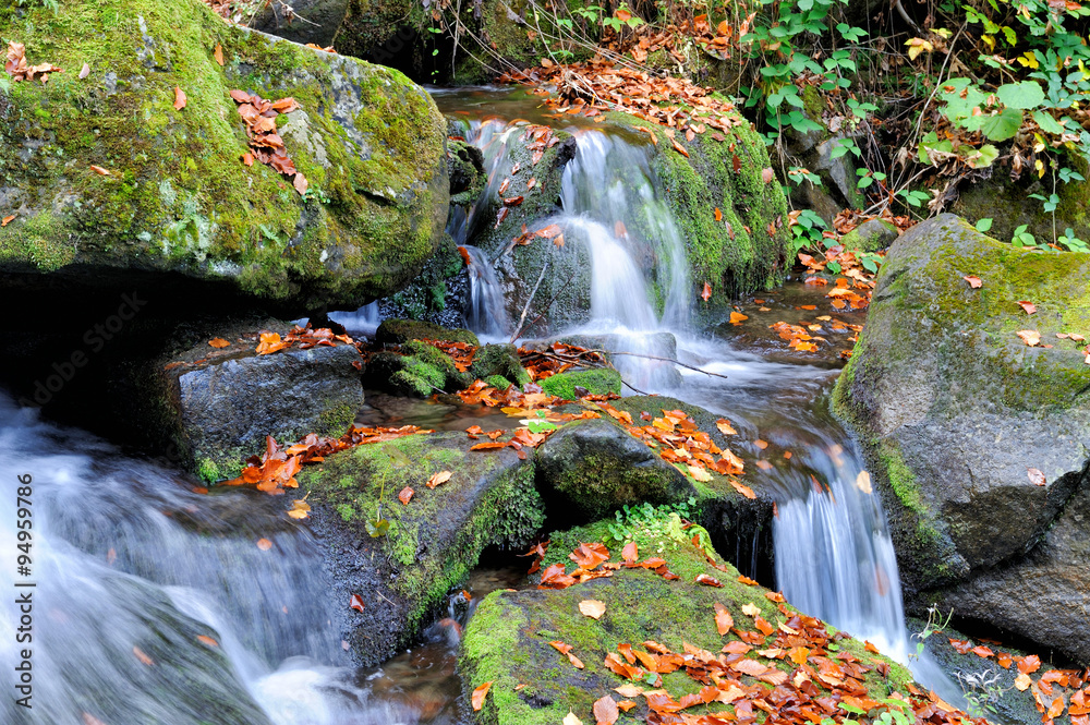 Mountain river in the autumn forest