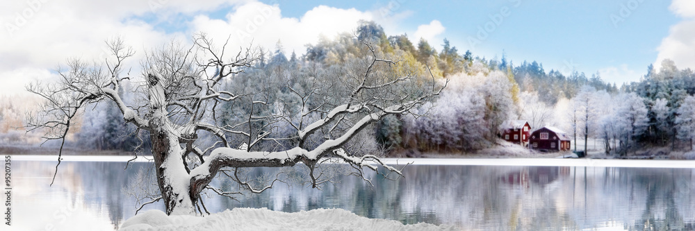 Tree in winter landscape