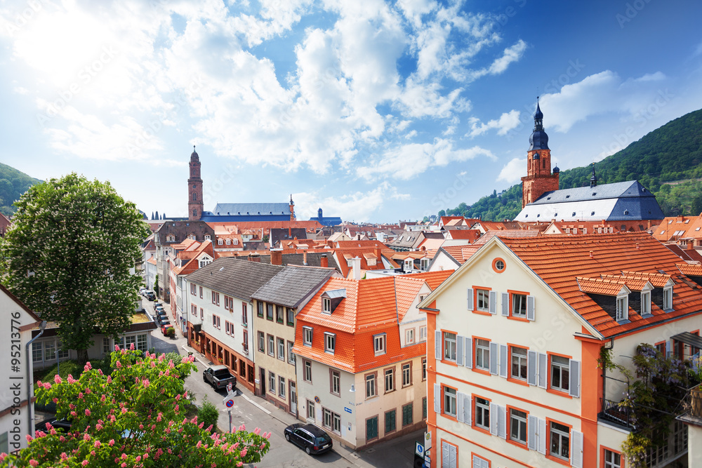 View of the street in Heidelberg, Germany