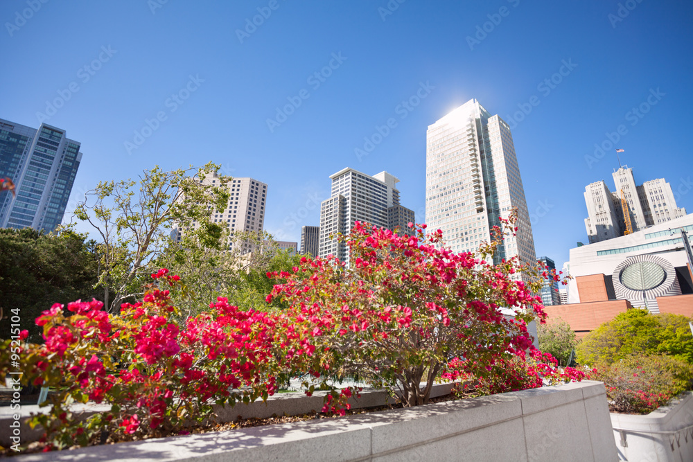 粉红色的花朵，耶尔巴布埃纳花园公园