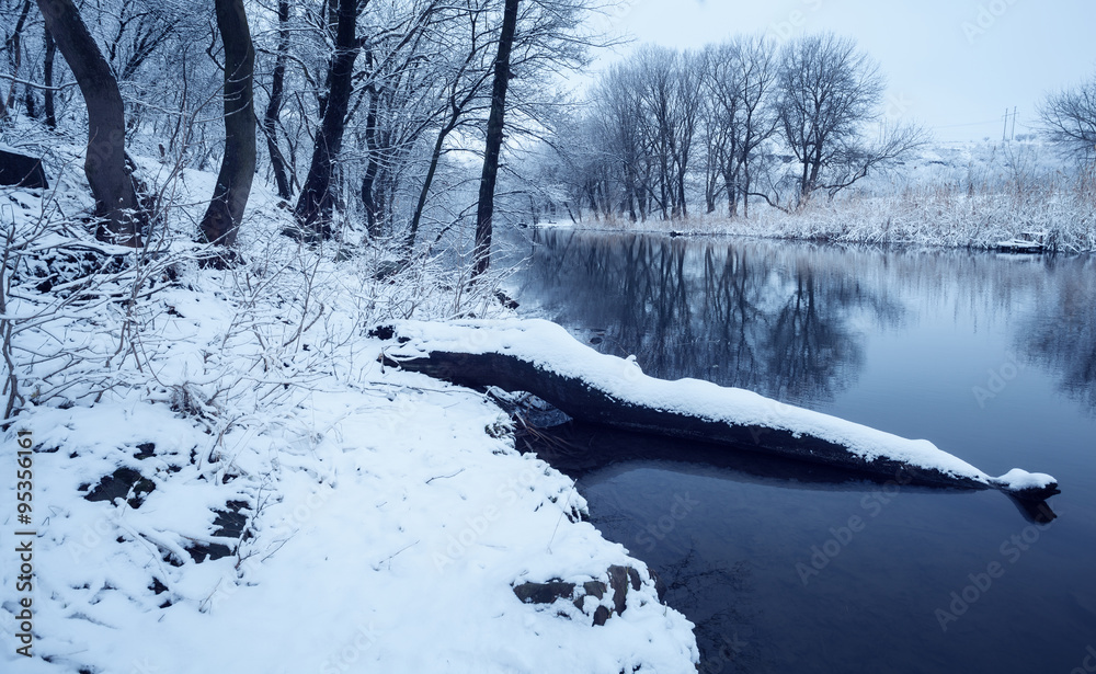 Winter landscape with river in forest