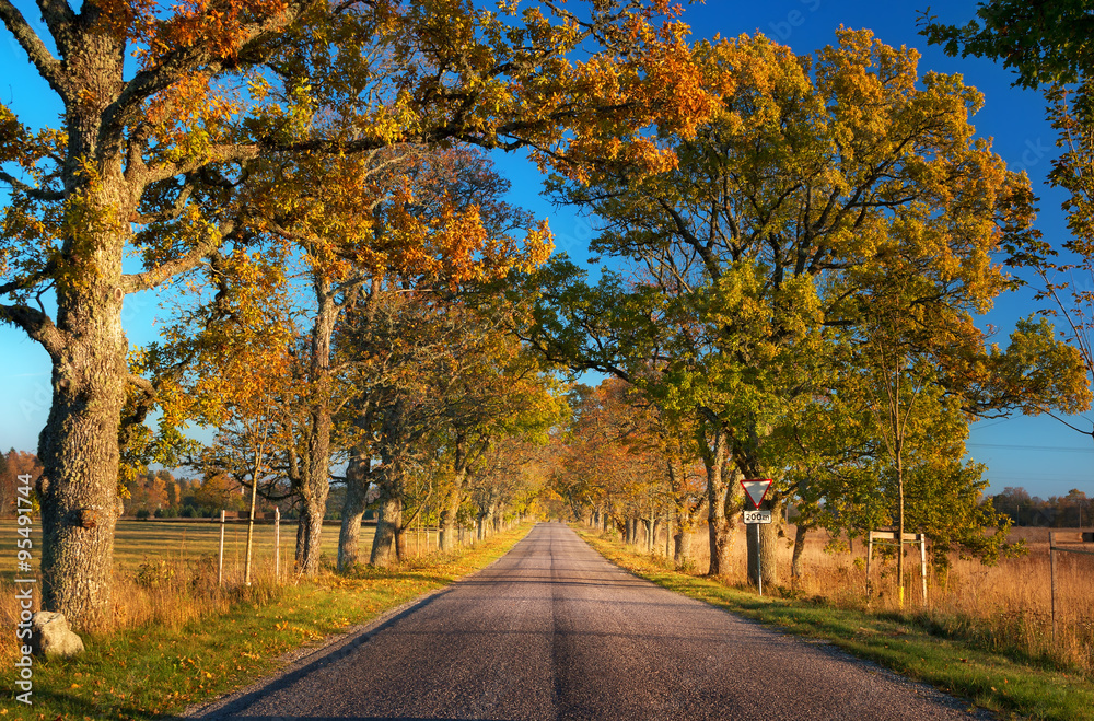 alley in autumn