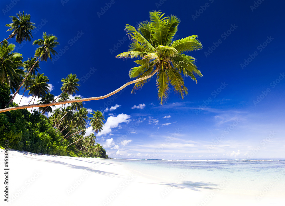 Summer Beach Tropical Paradise Seascape Concept