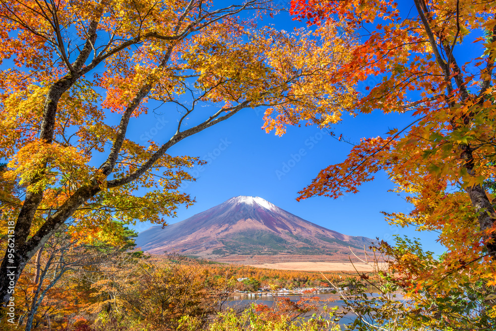 秋天的富士山