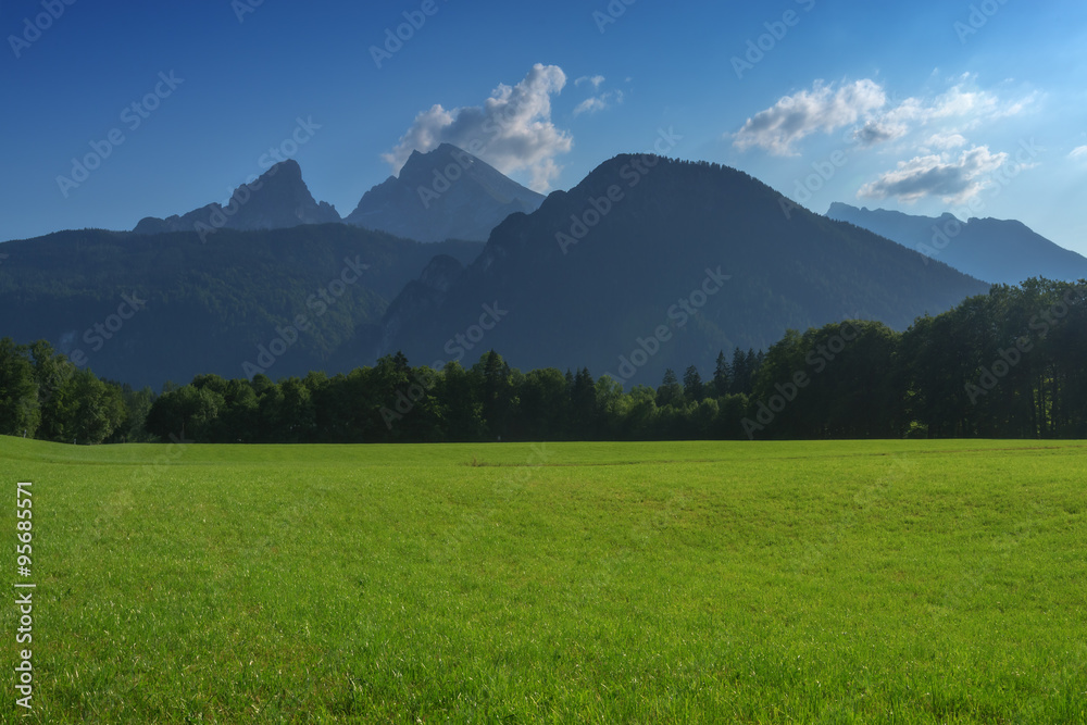 阿尔卑斯山