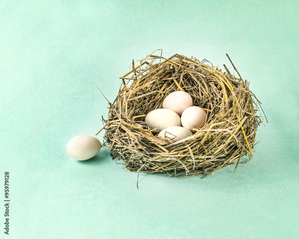 twigs nest with white egg on blue paper background