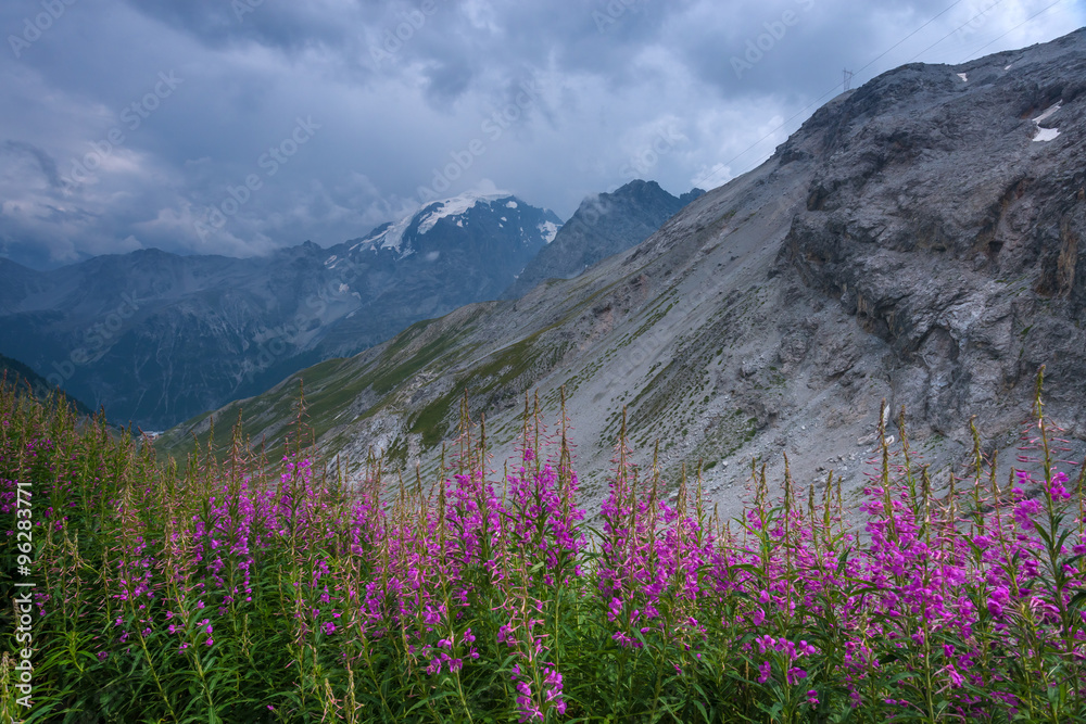 阿尔卑斯山