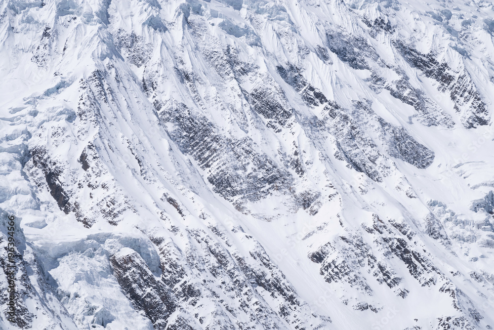 以雪和岩石为背景。自然成分