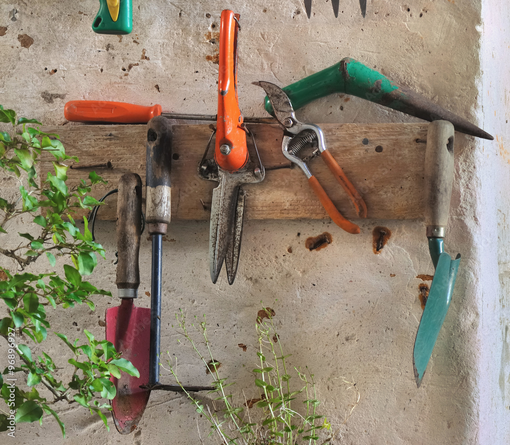 différents outils de jardinage accrochés au mur dune remise