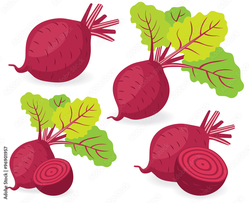 Beetroot vector illustrations