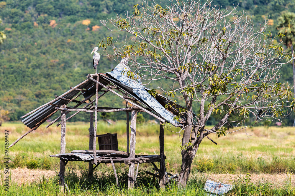 小屋倒塌