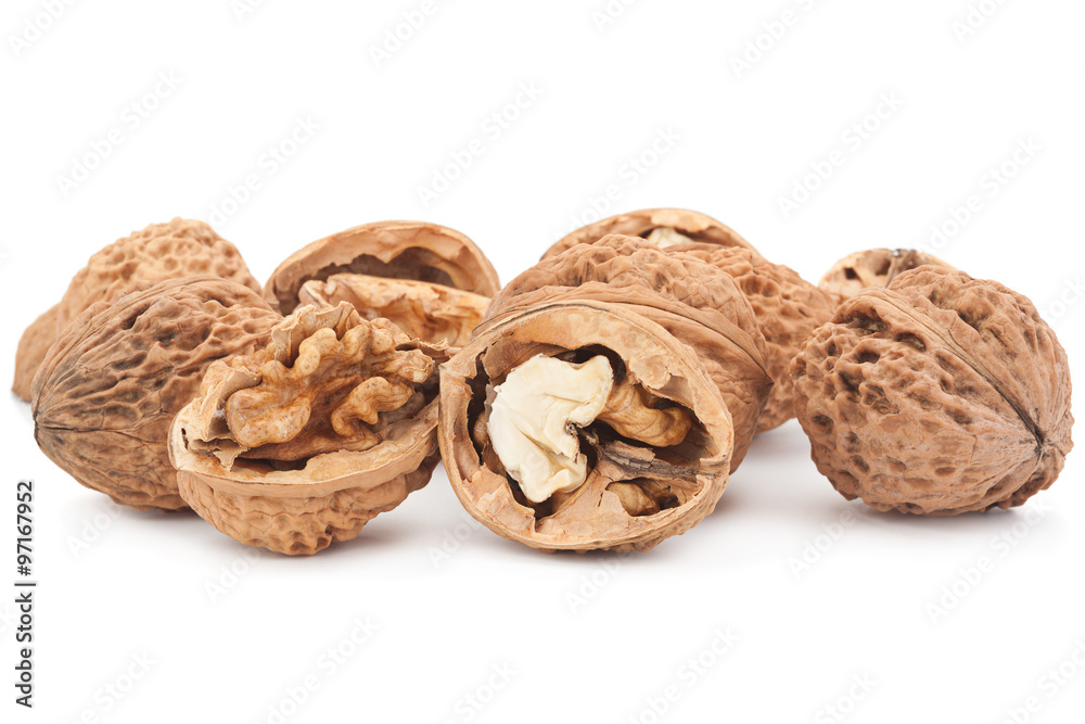 Walnut fruit on white