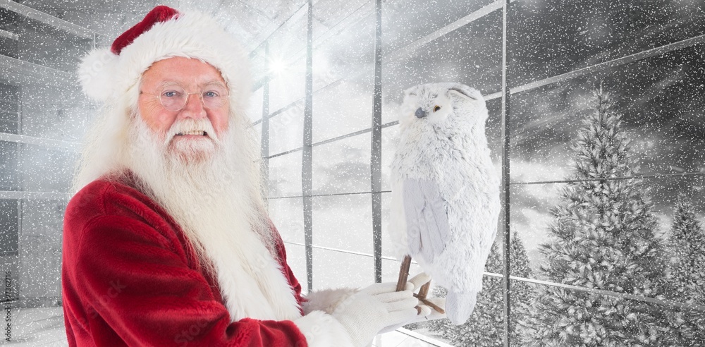 Composite image of father christmas holds an owl