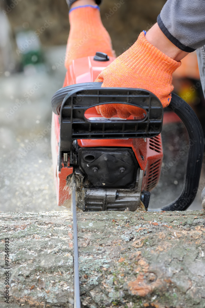  Chainsaw and tree