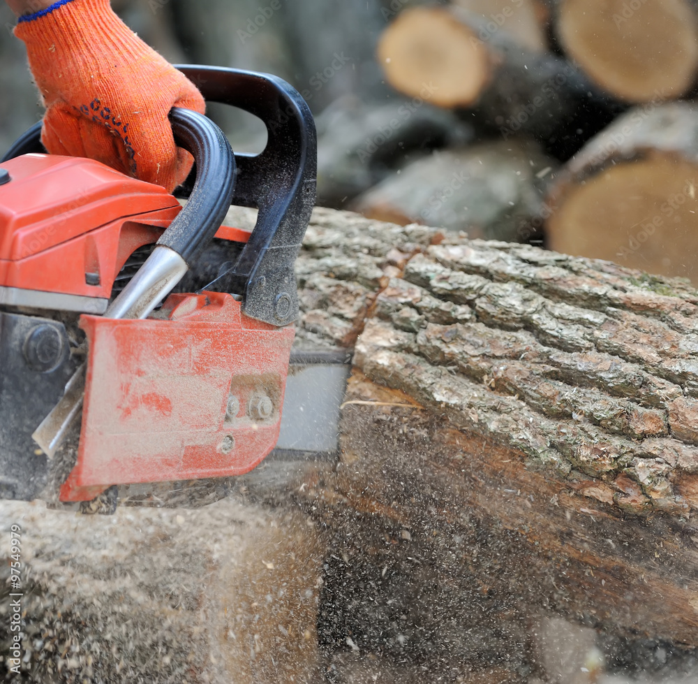  Chainsaw and tree