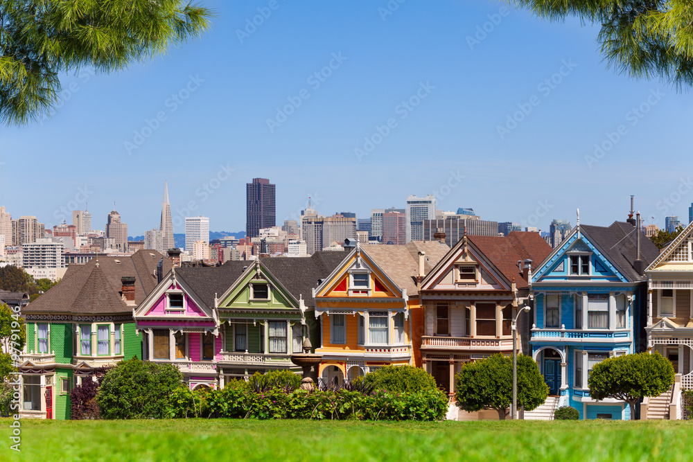 San Francisco skyline and painted ladies