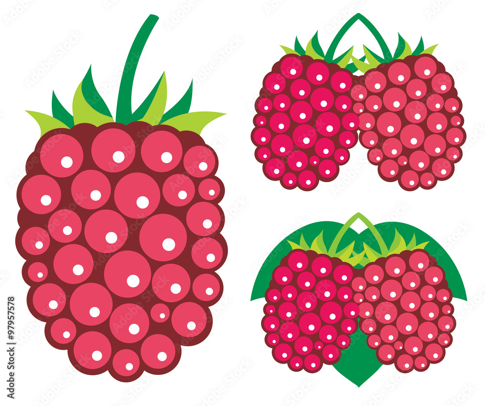 Raspberries vector illustrations