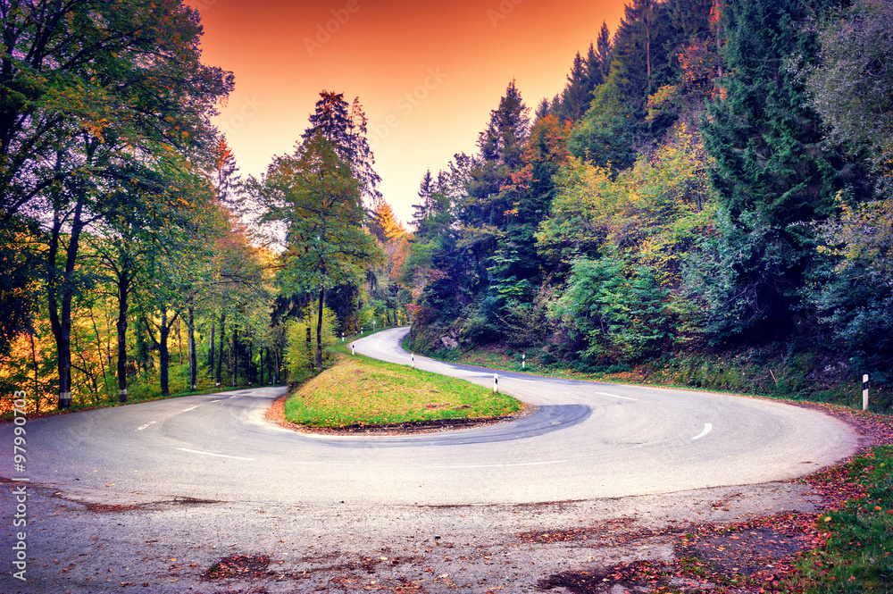 美丽的秋季景观与弯曲的道路